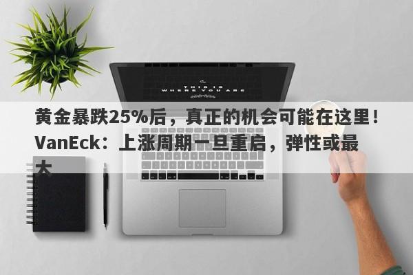 黄金暴跌25%后，真正的机会可能在这里！VanEck：上涨周期一旦重启，弹性或最大