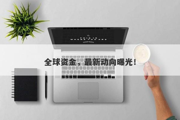 全球资金，最新动向曝光！