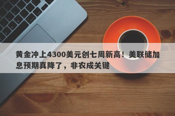 黄金冲上4300美元创七周新高！美联储加息预期真降了，非农成关键