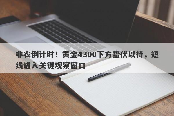 非农倒计时！黄金4300下方蛰伏以待，短线进入关键观察窗口