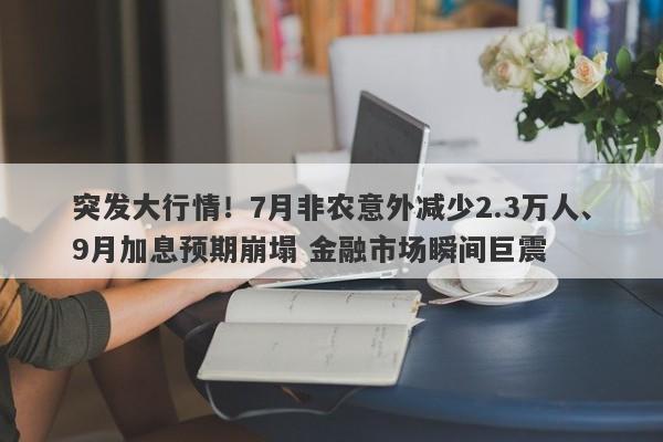 突发大行情！7月非农意外减少2.3万人、9月加息预期崩塌 金融市场瞬间巨震
