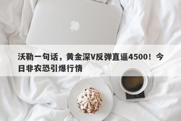 沃勒一句话，黄金深V反弹直逼4500！今日非农恐引爆行情