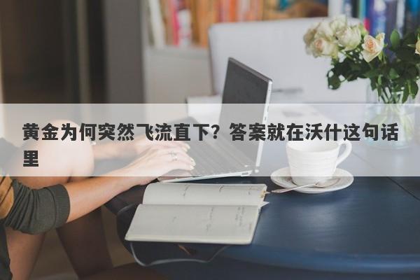 黄金为何突然飞流直下？答案就在沃什这句话里