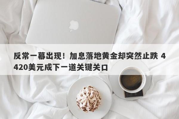 反常一幕出现!加息落地黄金却突然止跌 4420美元成下一道关键关口