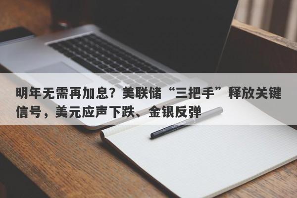 明年无需再加息？美联储“三把手”释放关键信号，美元应声下跌、金银反弹