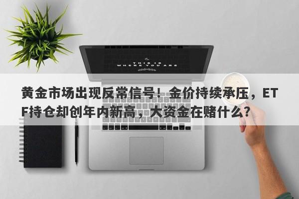 黄金市场出现反常信号！金价持续承压，ETF持仓却创年内新高，大资金在赌什么？