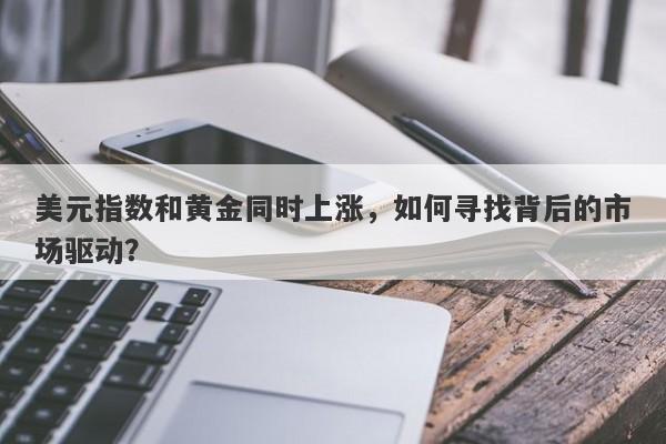 美元指数和黄金同时上涨，如何寻找背后的市场驱动？